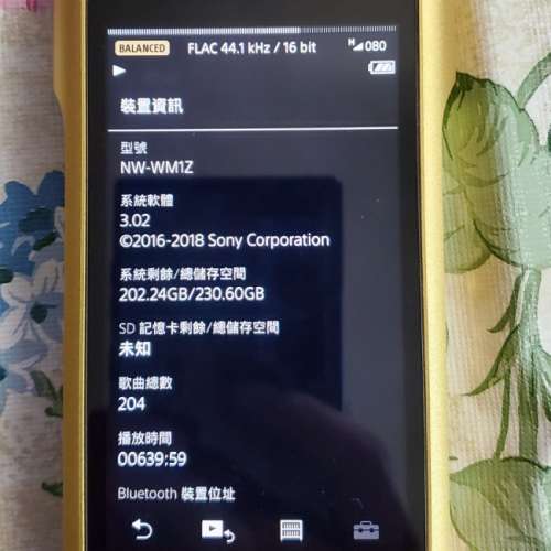 Sony WM1Z