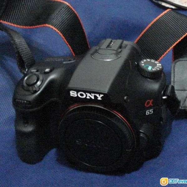 Sony A65 + Sal 18-250mm (同sony A77,都擁有 2470萬像數一樣)