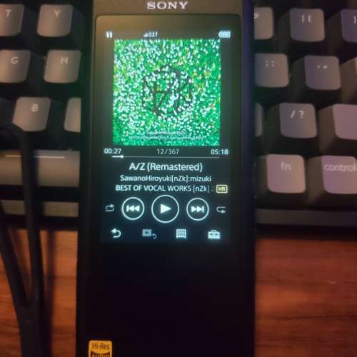 Sony NW-ZX300A(水貨 16G)
