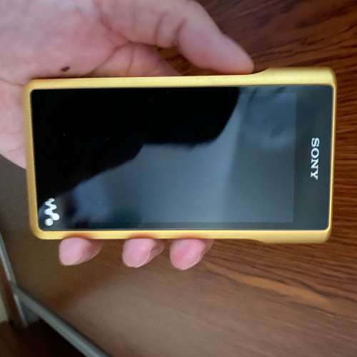 SONY WM1Z 金磚