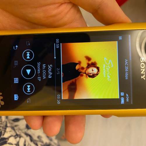 賣Sony Wm1z