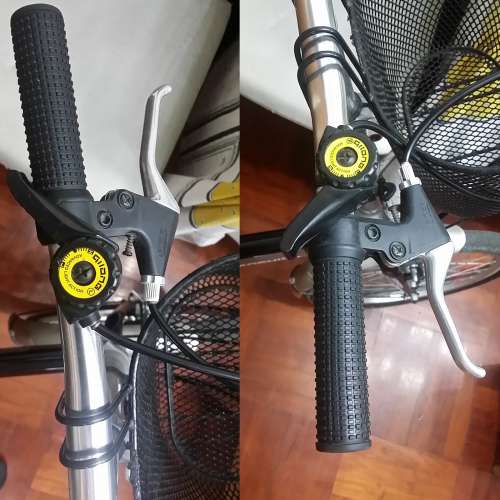 成人單車 可摺 20吋