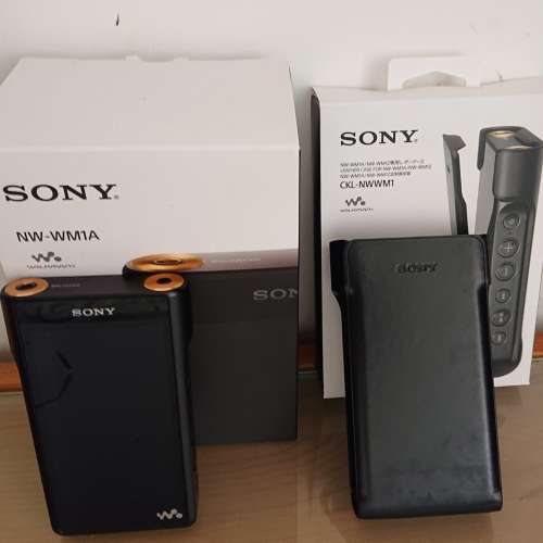Sony Wm1a