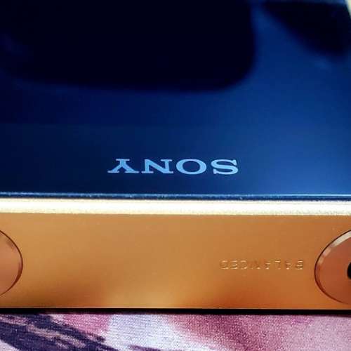 Sony Wm1z  金磚