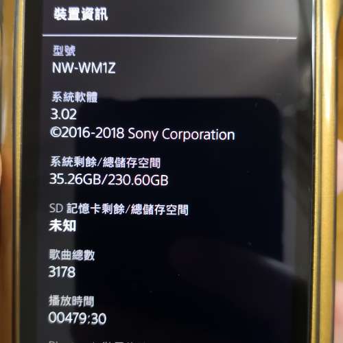 Sony wm1z 金磚
