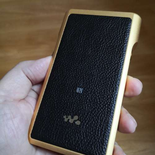 Sony wm1z 金磚