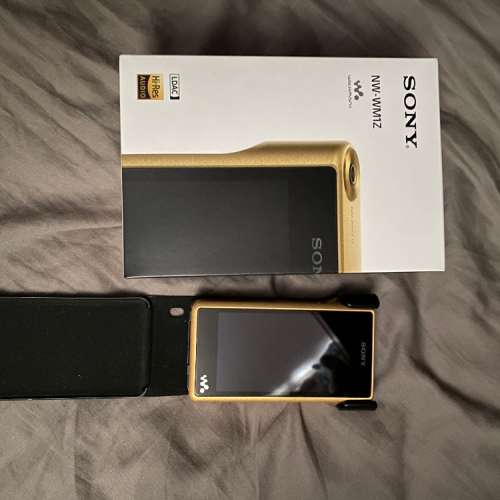 SONY WM1Z 金磚