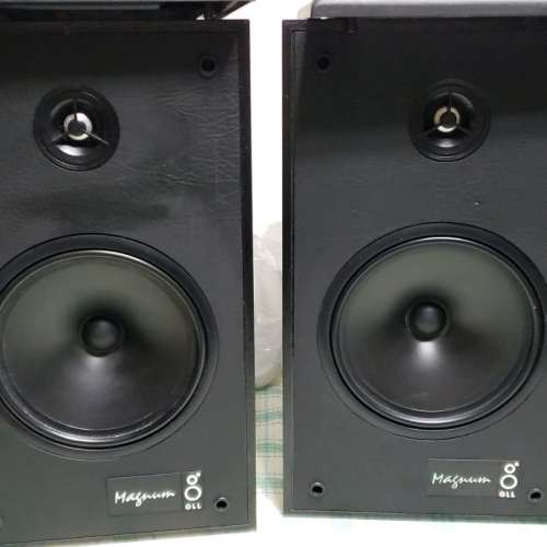 Goodmans Magnum Speaker