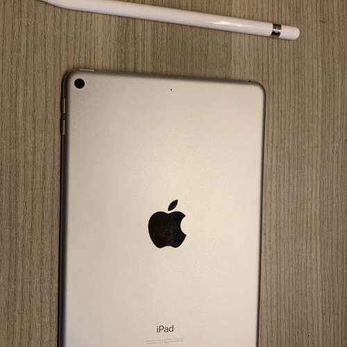 Ipad mini 5加apple pencil