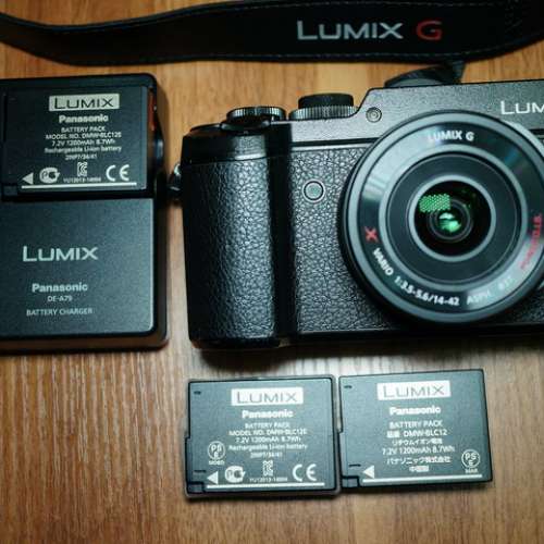 Panasonic GX8 + Lumix G 14-42 f3.5-5.6 + 3 battery////////not canon nikon OM