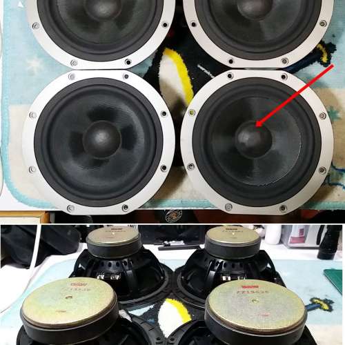 B&W DM309 ( 拆零件) 中低音喇叭單元  售價一隻計