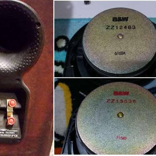 B&W DM309 ( 拆零件) 中低音喇叭單元  售價一隻計