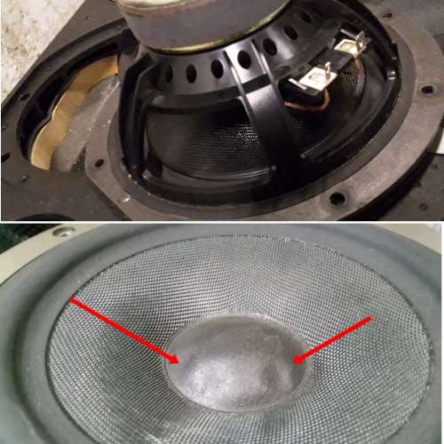 B&W DM309 ( 拆零件) 中低音喇叭單元  售價一隻計