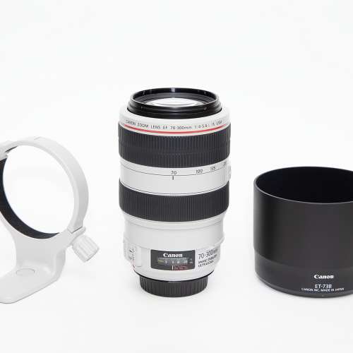 Canon EF 70-300mm f/4-5.6L IS USM 連原廠三腳架環