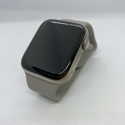 Apple Watch 6 LTE Silver Titanium 鈦金屬