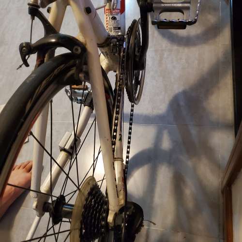 Fuji24吋公路單車