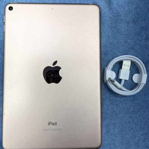 98%New iPad Mini 5 256GB WiFi版 金色 香港行貨 有配件有充電線 打機睇戲首選超值！