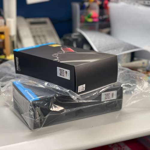 Sennheiser IE800S 旗艦耳機 高階入耳式耳機