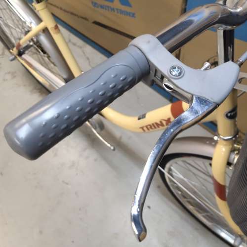 TRINX CUTE 1.0 - 24吋 淑女車＊送泥擋貨架＊