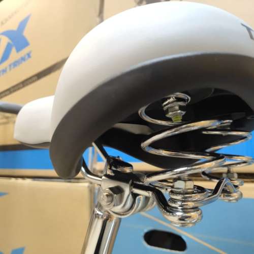 TRINX CUTE 1.0 - 24吋 淑女車＊送泥擋貨架＊