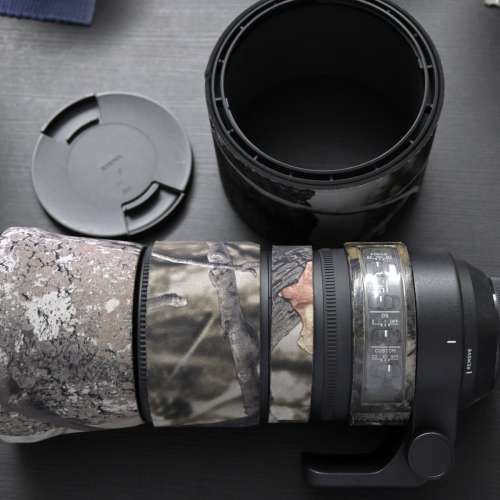 Sigma 150-600mm F5-6.3 DG Nikon Mount