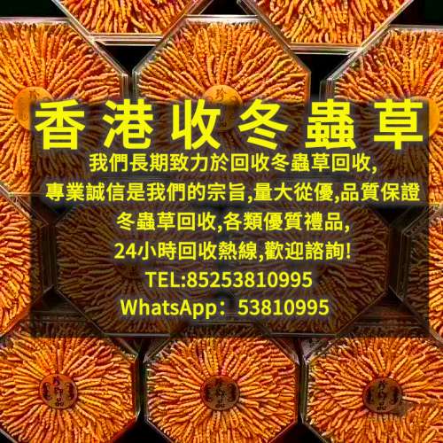 香港收冬蟲草-回收冬蟲夏草-長期大量回收-上門服務
