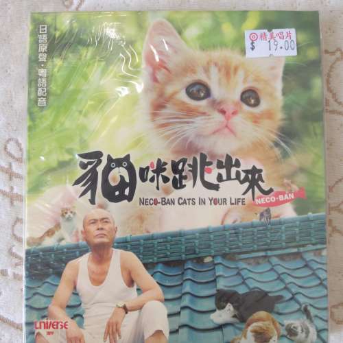二手 貓咪跳出來 VCD 日本電影 Movie - Neco-Ban Cats in Your Life