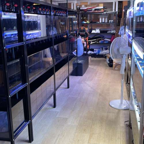 🔥一體化魚缸組合套餐🔥