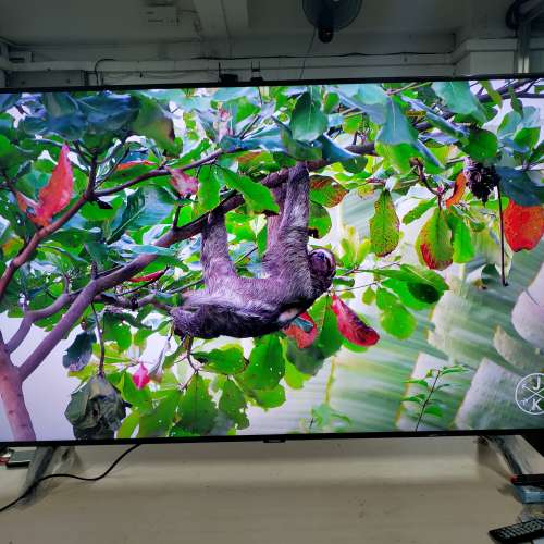 Samsung 49吋 49inch QA49Q70R Qled 4K smart TV