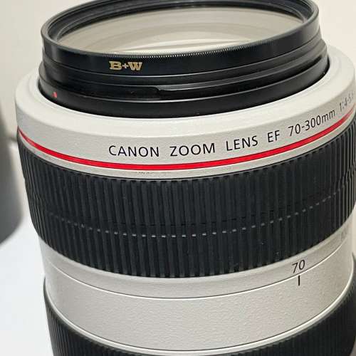 Canon EF70-300 f/4-5.6L IS USM
