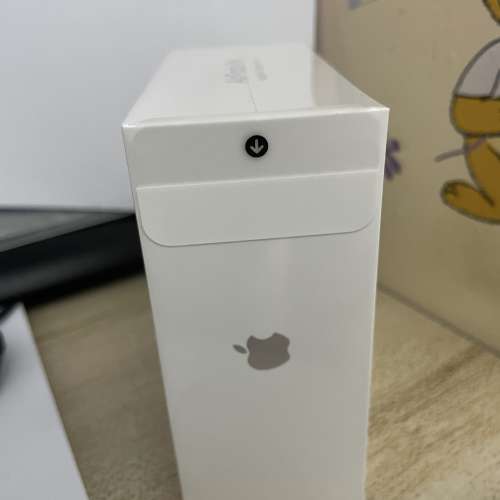 Apple Airpods Pro 降噪無線耳機 配備 MagSafe 充電盒 香港行貨