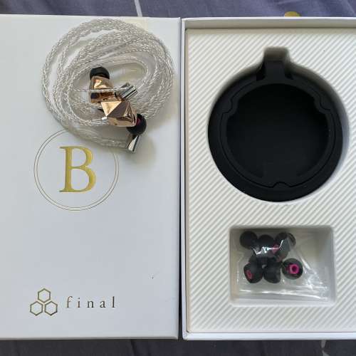 Final B1 earphone