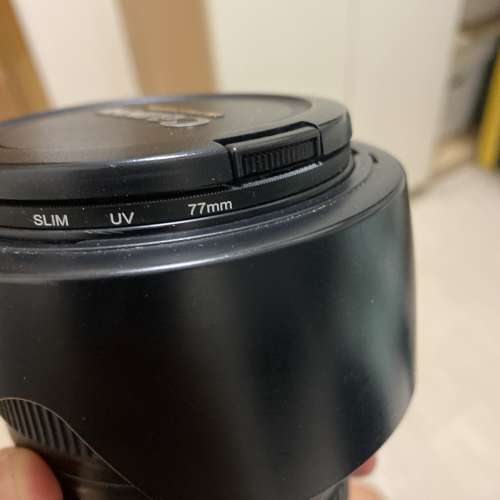 Canon 24-105 F4L with hood filter