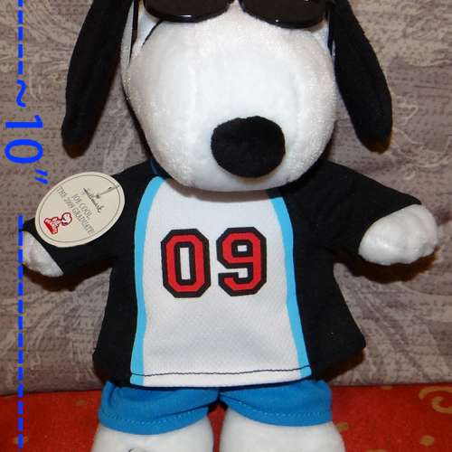 All New 10" Hallmark Joe Cool Snoopy Doll 私人收藏: 史諾比公仔
