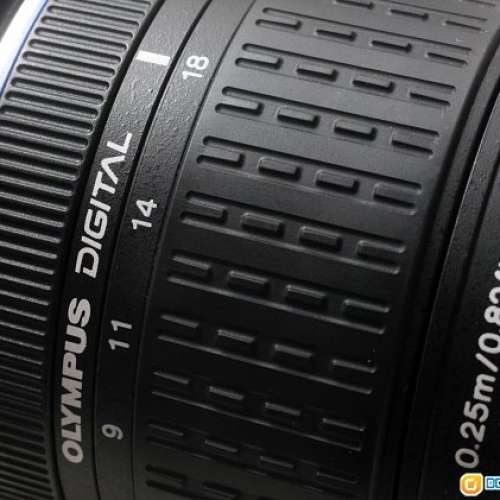 Olympus 9-18mm f/4-5.6(用於單反)色正銳利變形少，加MMF接環可用於無反機