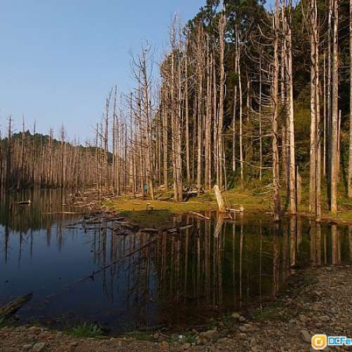 Olympus 9-18mm f/4-5.6(用於單反)色正銳利變形少，加MMF接環可用於無反機