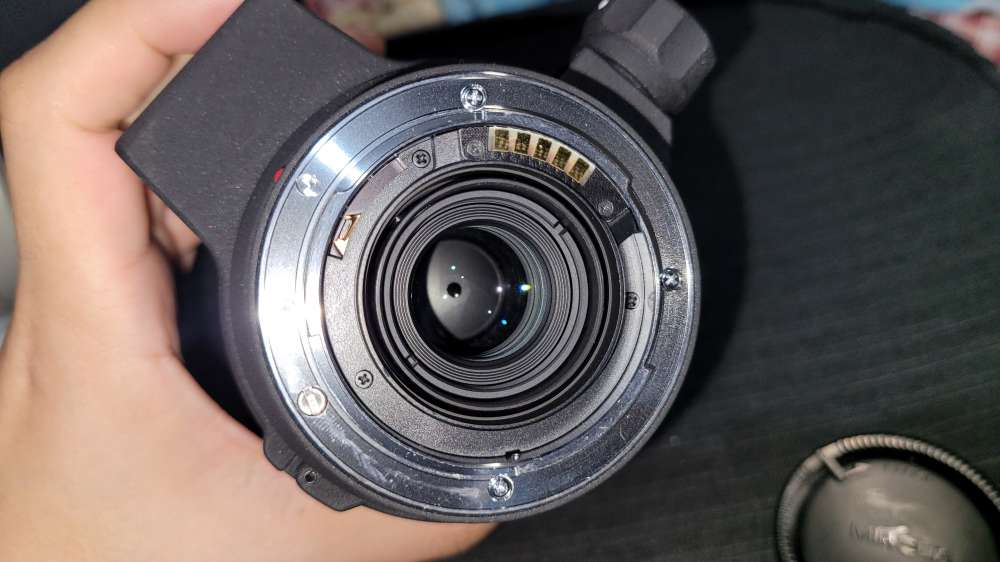 美品 Sony 用 Sigma AF 135-400mm APO #8160 美品 Sony 用 Sigma AF 135-400mm APO #8160 【公式通販】