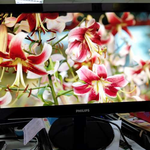 Philips 200V4L 20" LED Monitor