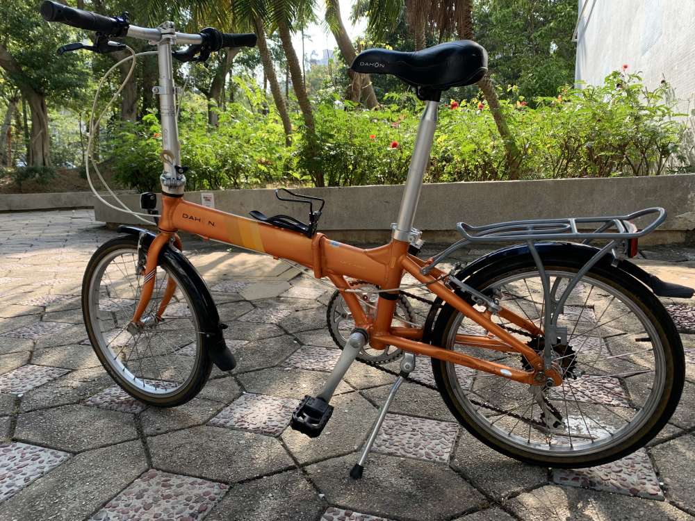 electra townie double kickstand