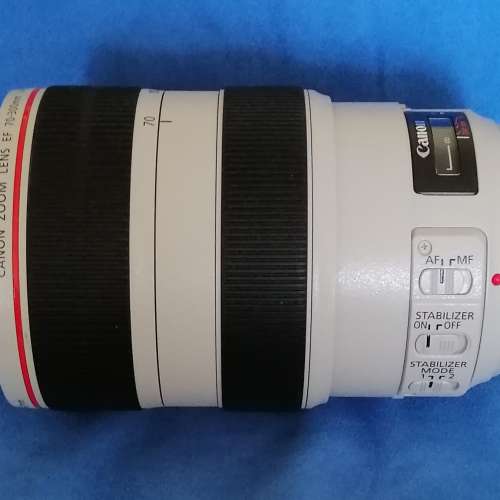 Canon EF 70-300mm f4-5.6 L Is 90%新