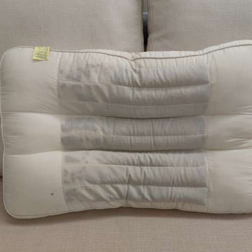 雅蘭 決明子枕頭 ( 保健枕 健康枕頭 枕袋 Airland Pillow )