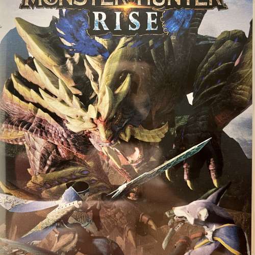 Switch Monster Hunter Rise MHR 中文版
