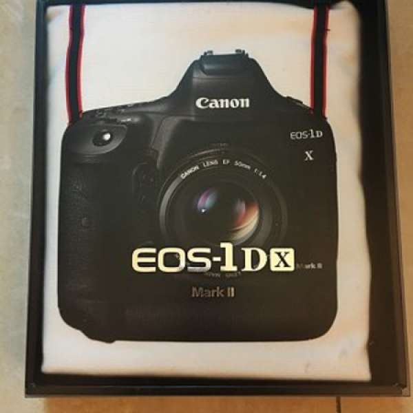 100% Brand New Canon 1DX mark II Carrying Bag