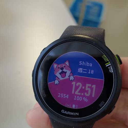 Garmin 45 黑色中文版