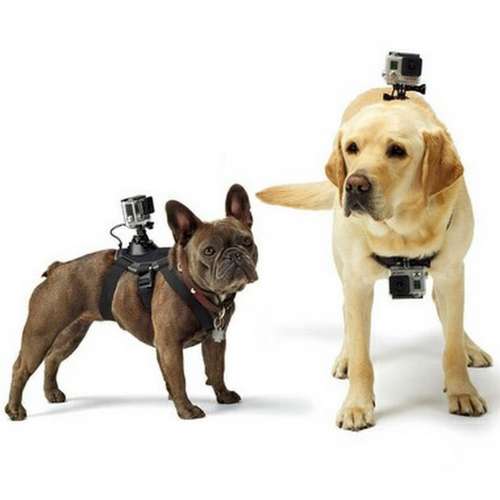 寵物帶 Fetch (Dog Harness) for Gopro / OSMO