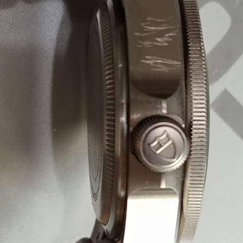 Tudor Pelagos 25600TN