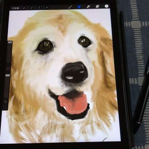 全新 平版/iPad Pro/ Apple /Android 通 用pencil / 主動式電容筆  超細頭觸控觸屏筆