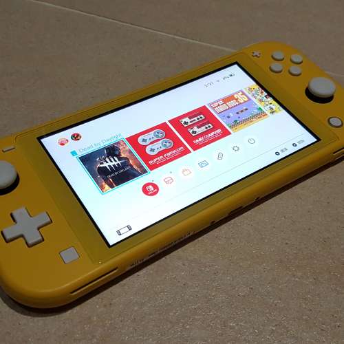 switch lite