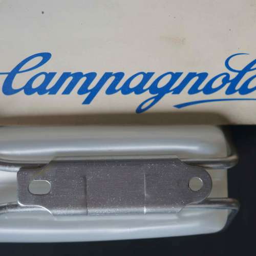 Campagnolo aero water bottle and cage