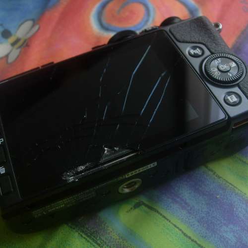 新浄 ~ Nikon 1  V3 無反相機